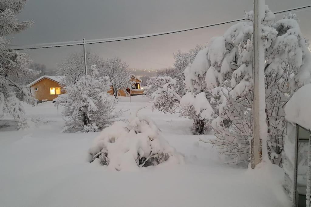 Spacious House In Tromso, Perfect For Groups Of Families, Tourists Or Workers Exterior foto