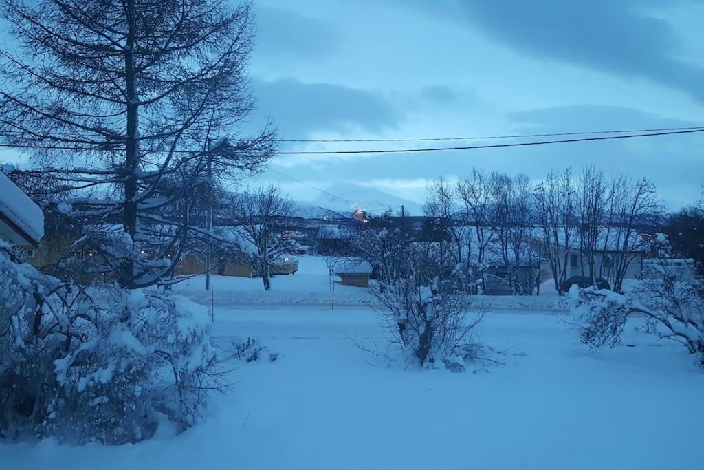 Spacious House In Tromso, Perfect For Groups Of Families, Tourists Or Workers Exterior foto